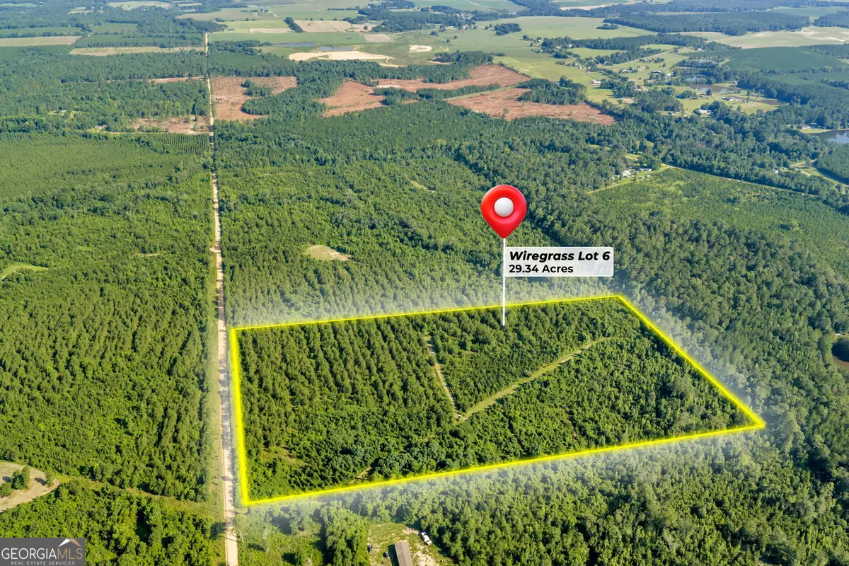 6 Rozar Goolsby Road, Eastman, GA 31023 - #1