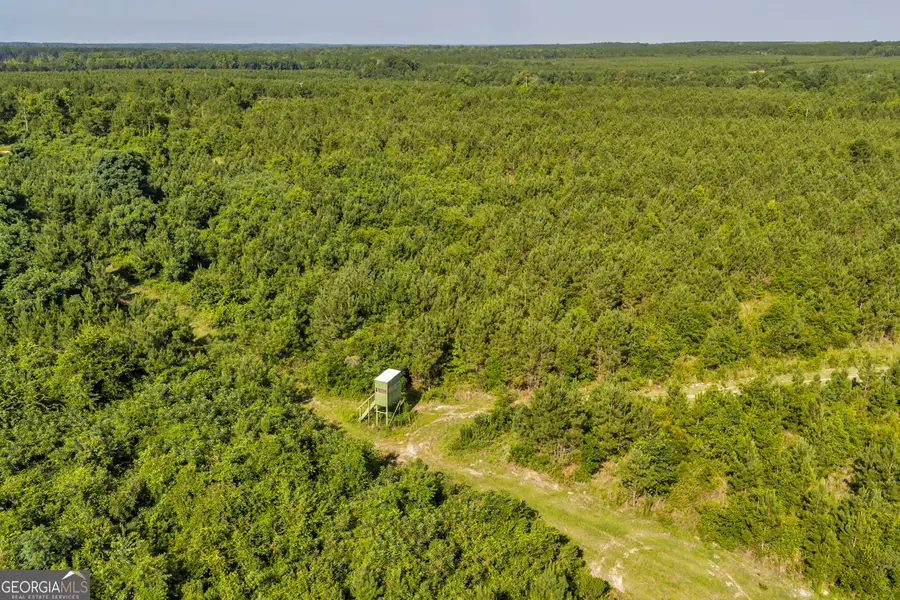 6 Rozar Goolsby Road, Eastman, GA 31023 - #3