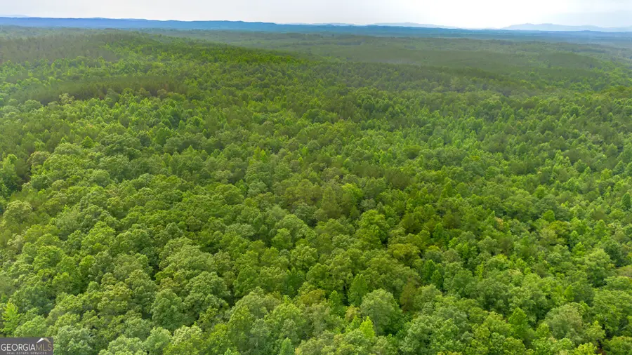 0 Vinyard Lot 1, 2, 4, 5, 6, Fruithurst, AL 36262 - #2