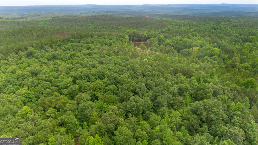 0 Vinyard Lot 1, 2, 4, 5, 6, Fruithurst, AL 36262 - #3