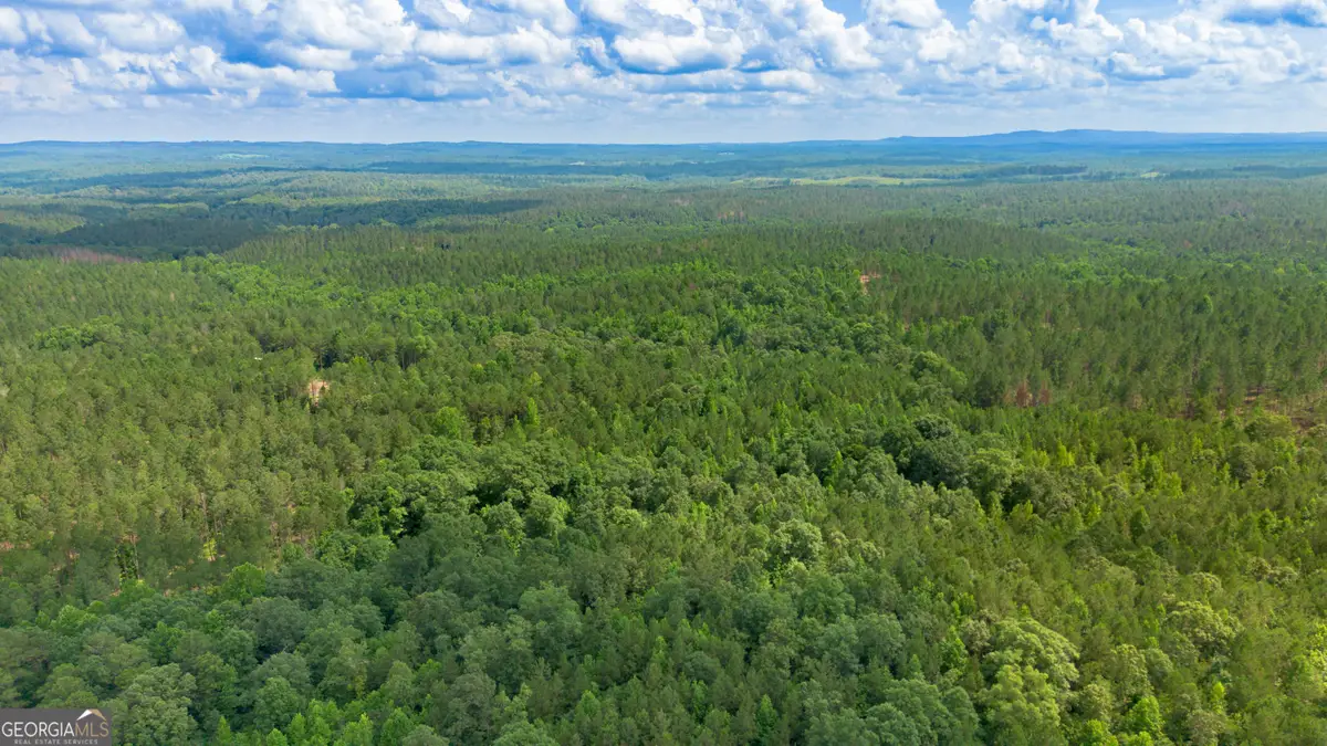 0 Vinyard Lot 3, Fruithurst, AL 36262 - #1