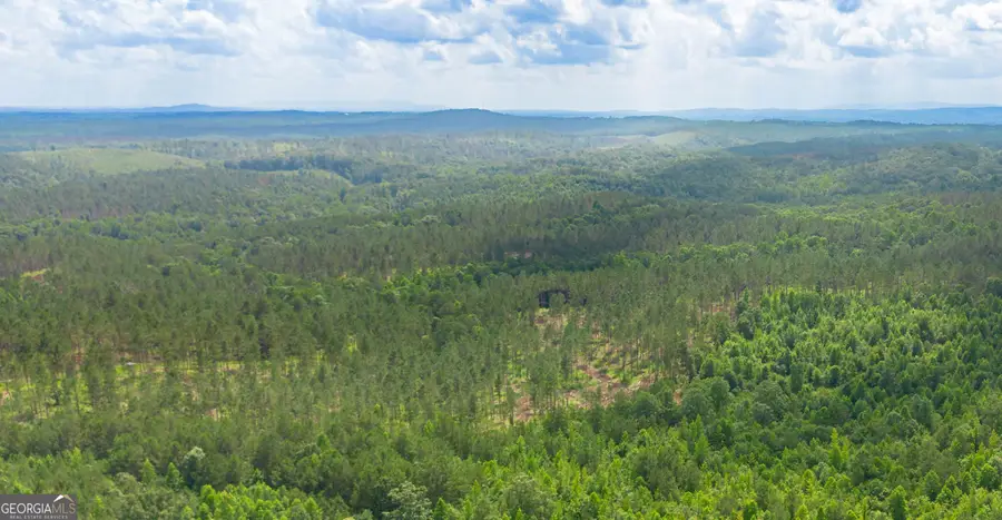 0 Vinyard Lot 3, Fruithurst, AL 36262 - #2