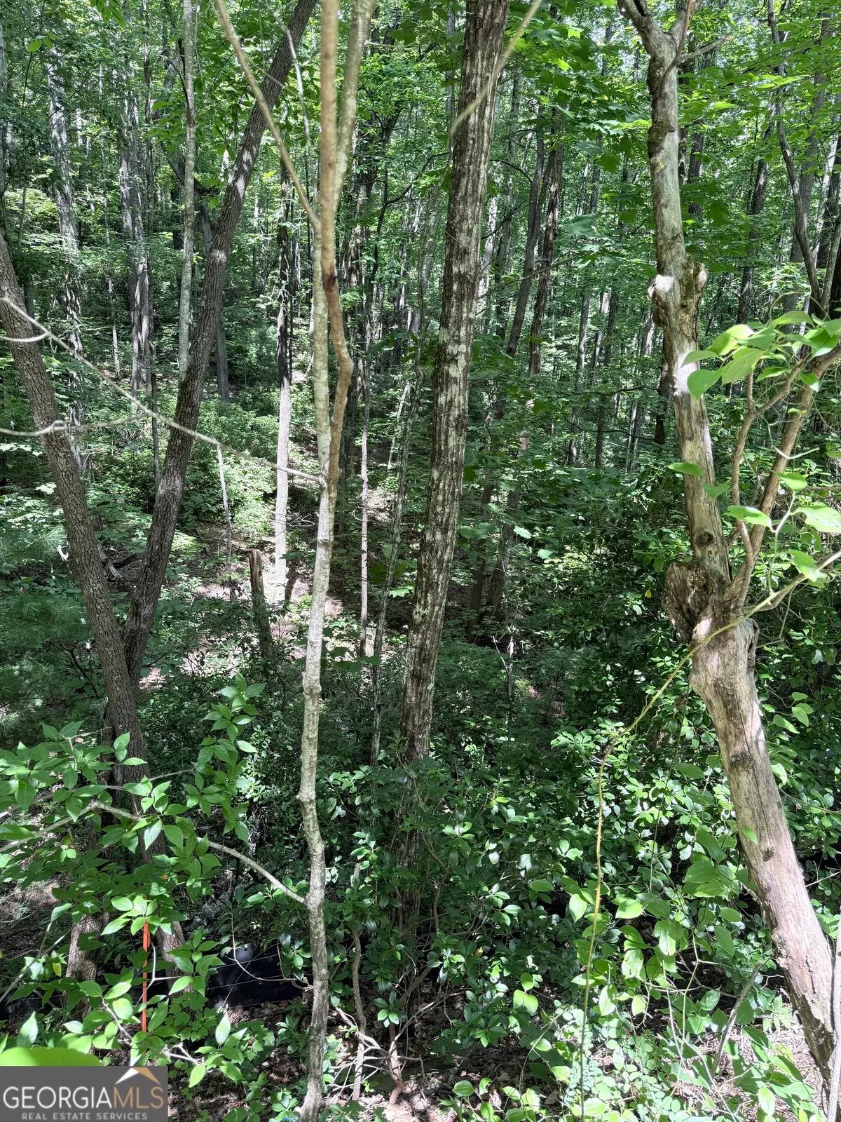 LOT 856 Larkspur Lane, Clayton, GA 30525 - #1