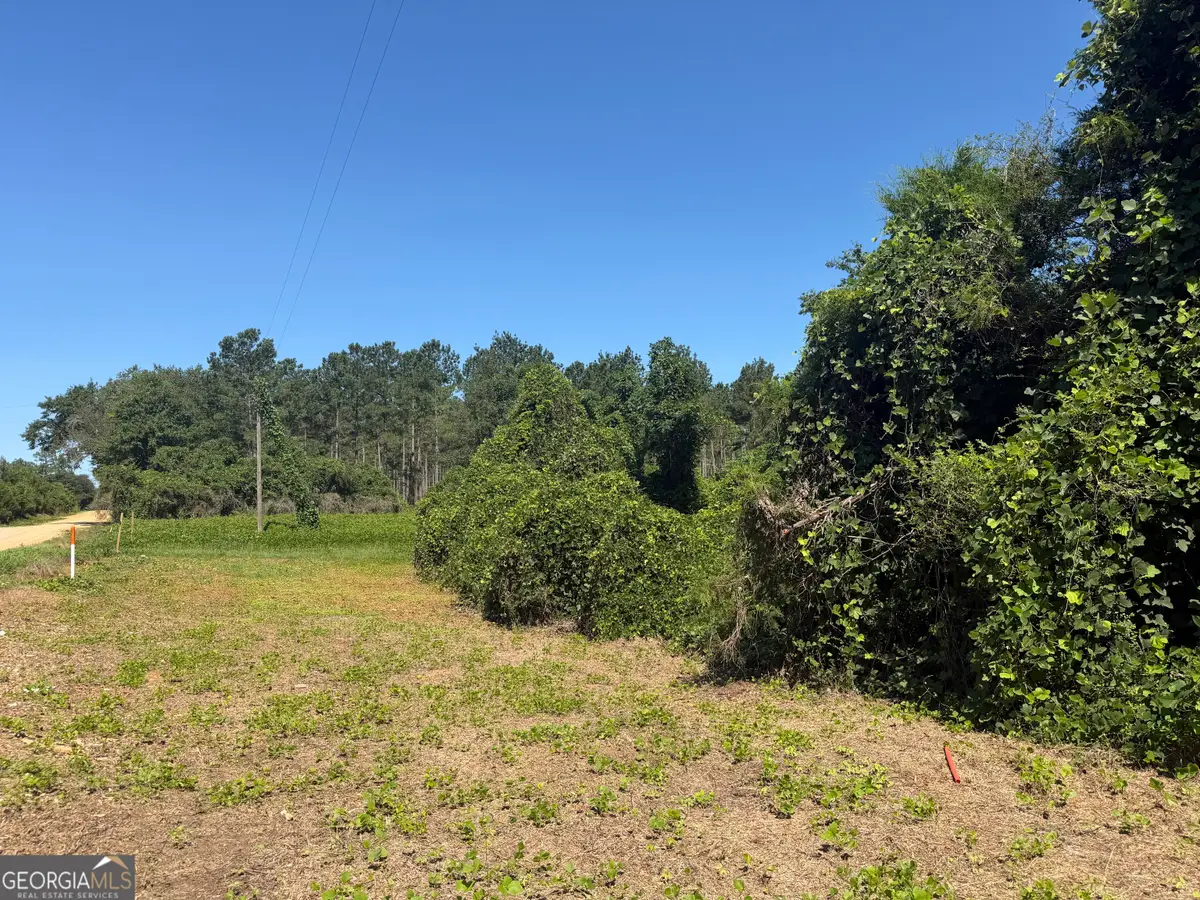 006H Wallace Buie Road, Webb, AL 36376 - #1