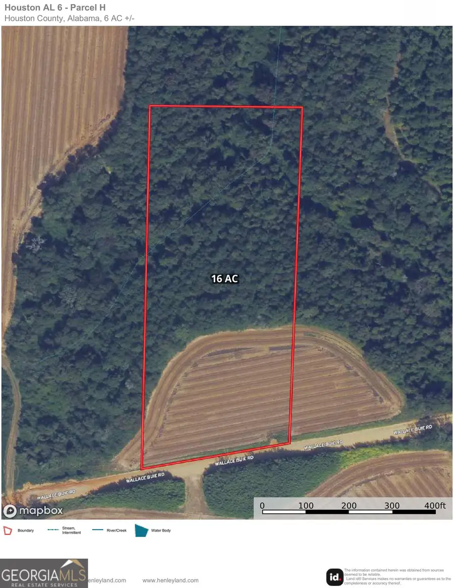 006H Wallace Buie Road, Webb, AL 36376 - #2