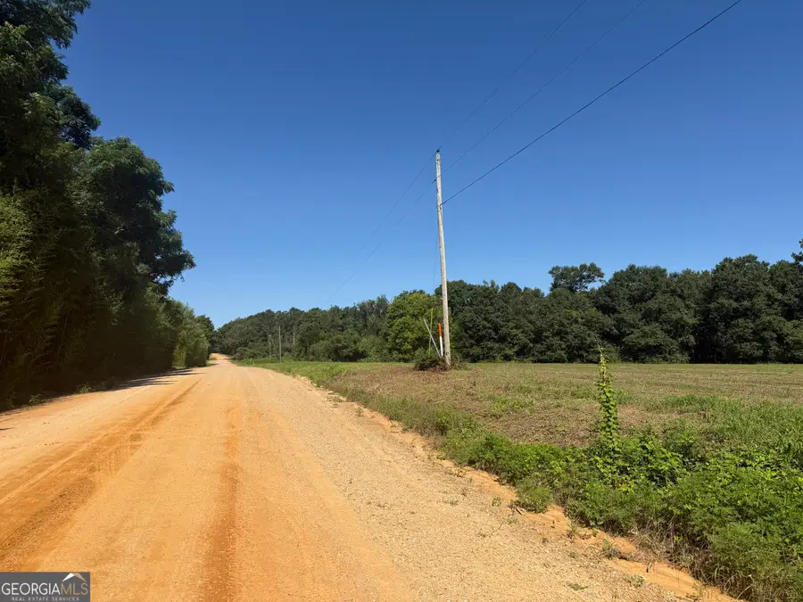 006H Wallace Buie Road, Webb, AL 36376 - #3