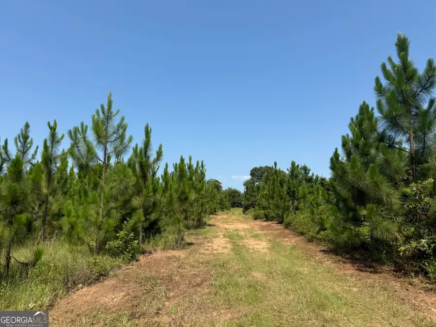 001A Barge Rd, Lumpkin, GA 31815 - #3