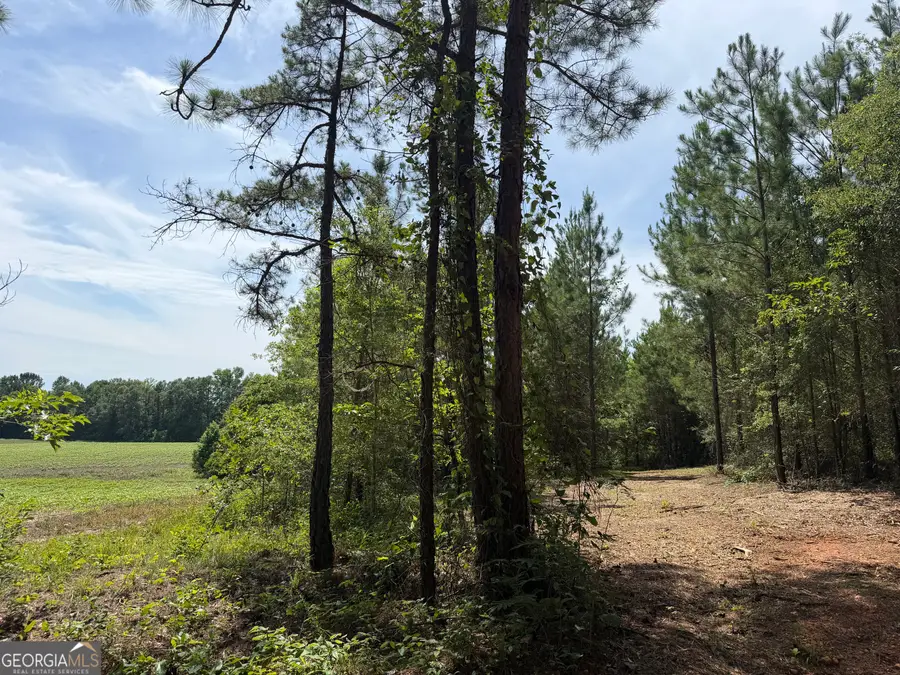 005B Cleghorn Drive, Tallassee, AL 36078 - #3