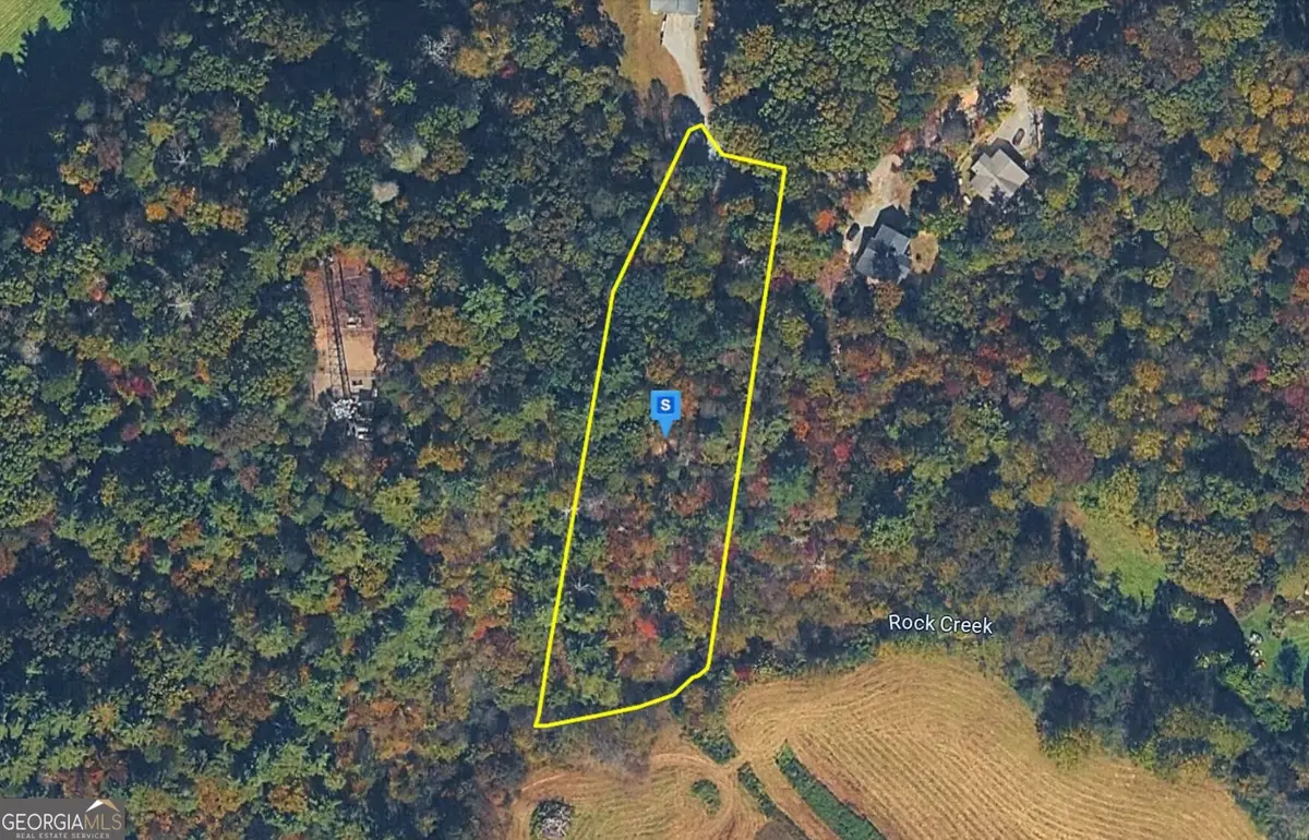 285 Cherry Log Trail, Cherry Log, GA 30522 - #1