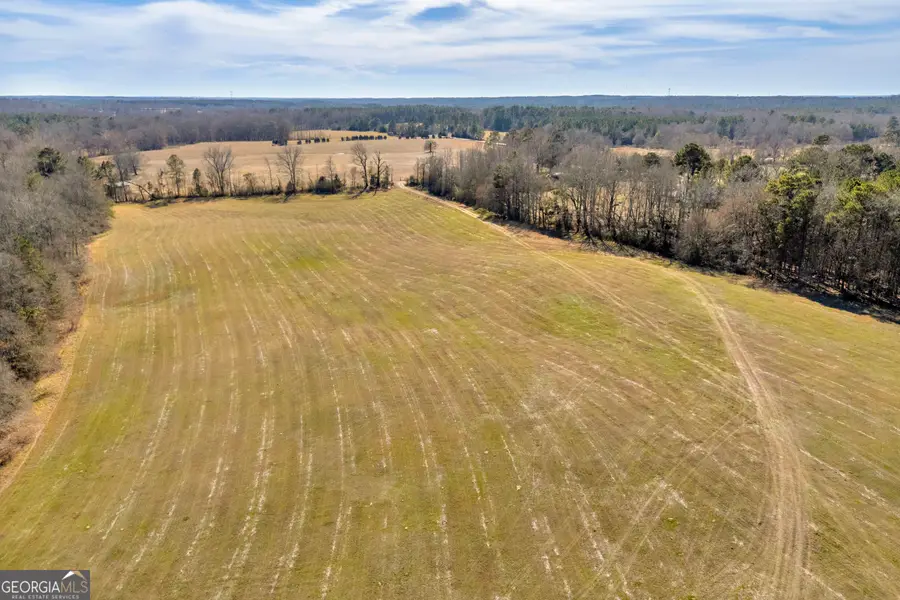 1681 Sibley School Road, Greensboro, GA 30642 - #2