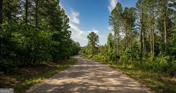 0 Sandcut Road #LOT 1, Nauvoo, AL 35578