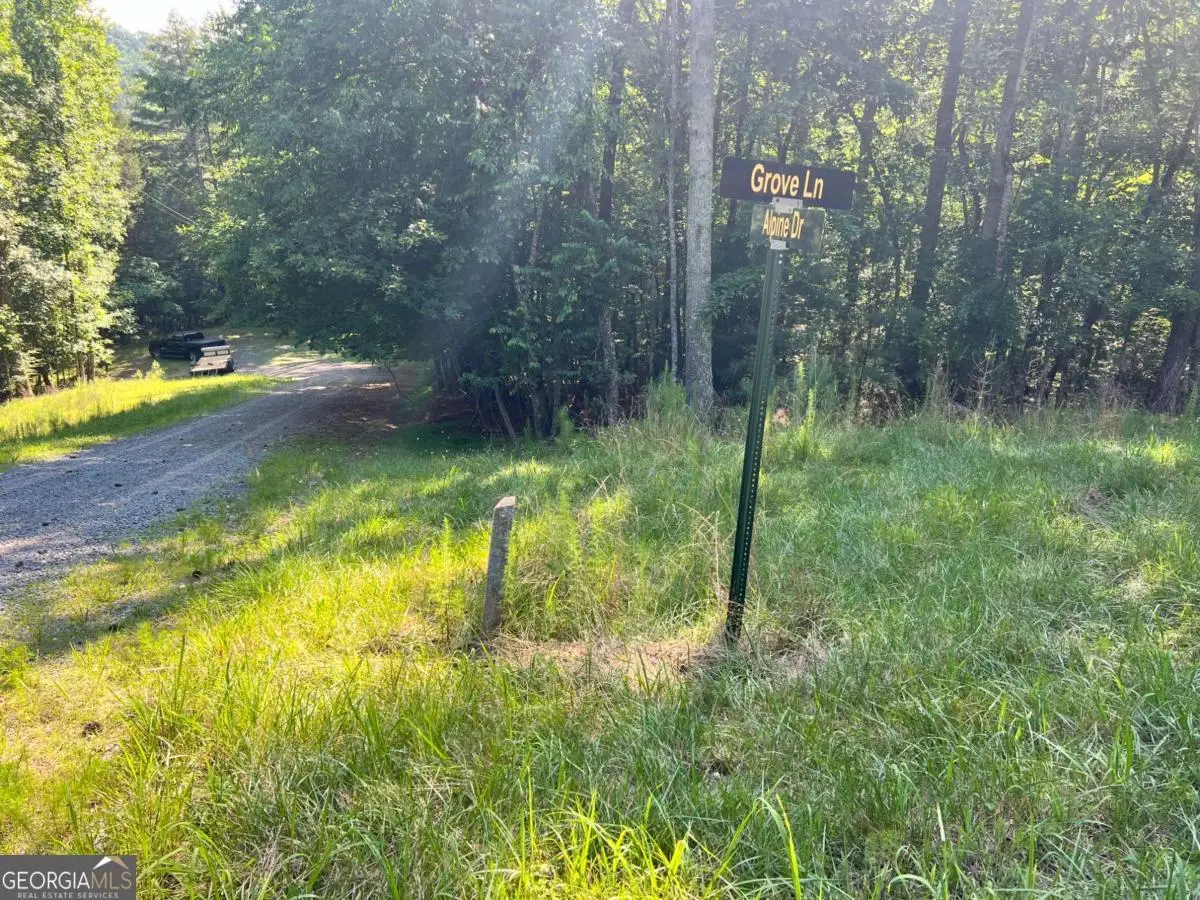 0 Alpine 3625 Drive, Ellijay, GA 30540 - #1