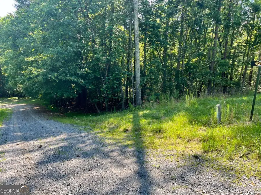 0 Alpine 3625 Drive, Ellijay, GA 30540 - #3