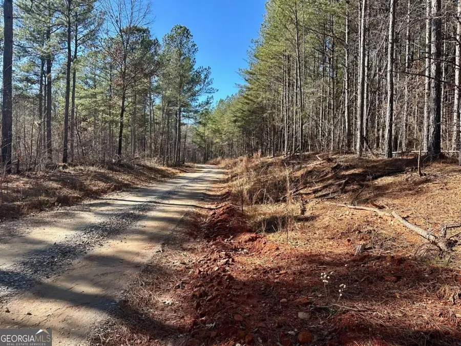 1107 Larmon Forks Road, Dahlonega, GA 30533 - #2