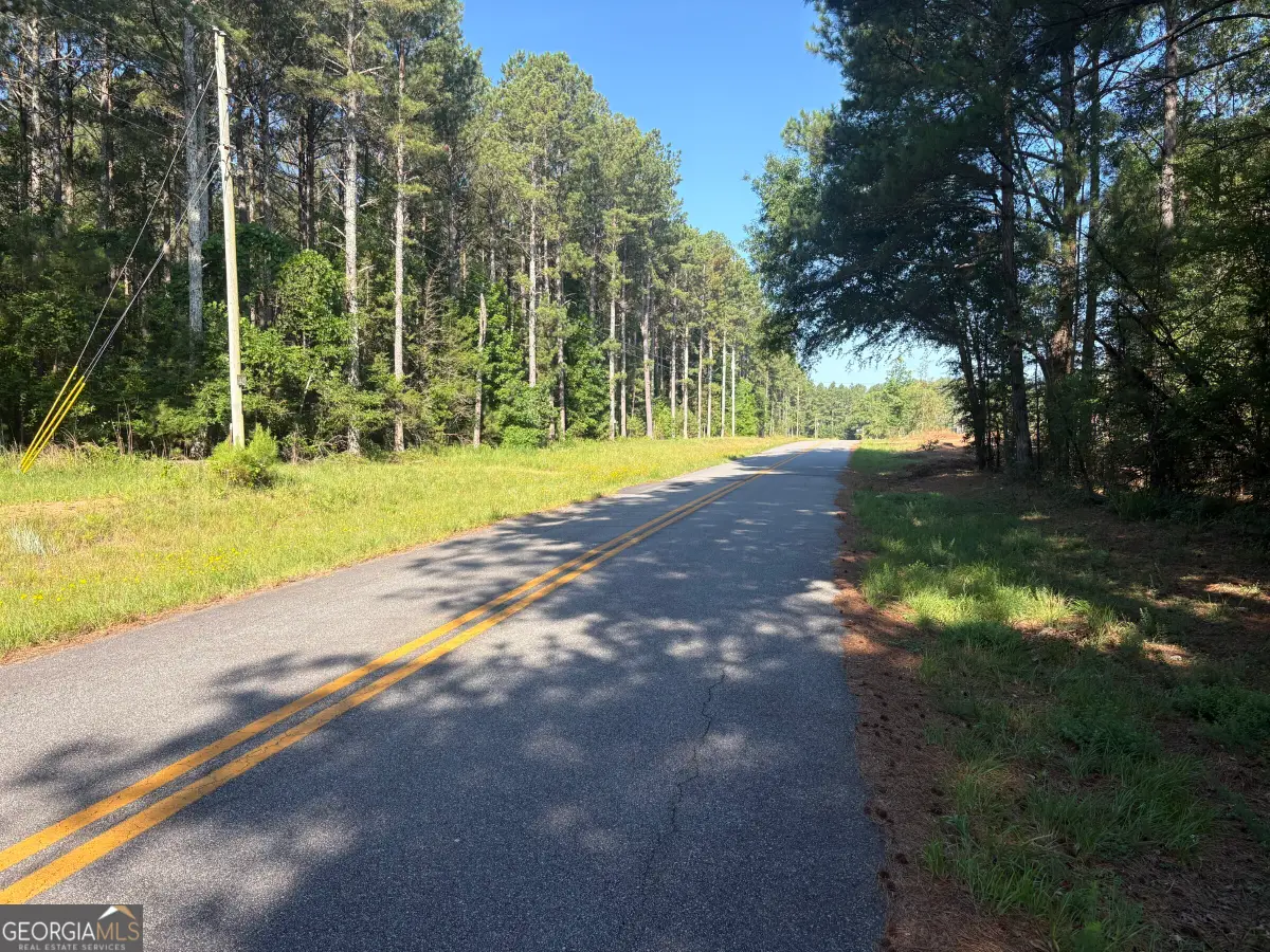 41 Elton Stewart Road, Carlton, GA 30627 - #1