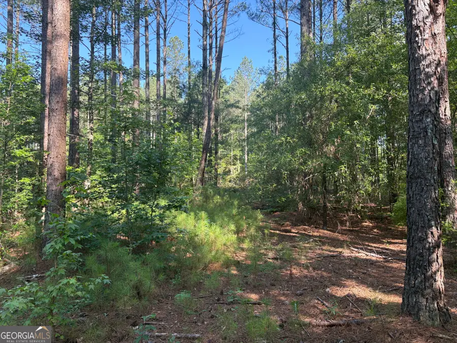 41 Elton Stewart Road, Carlton, GA 30627 - #3