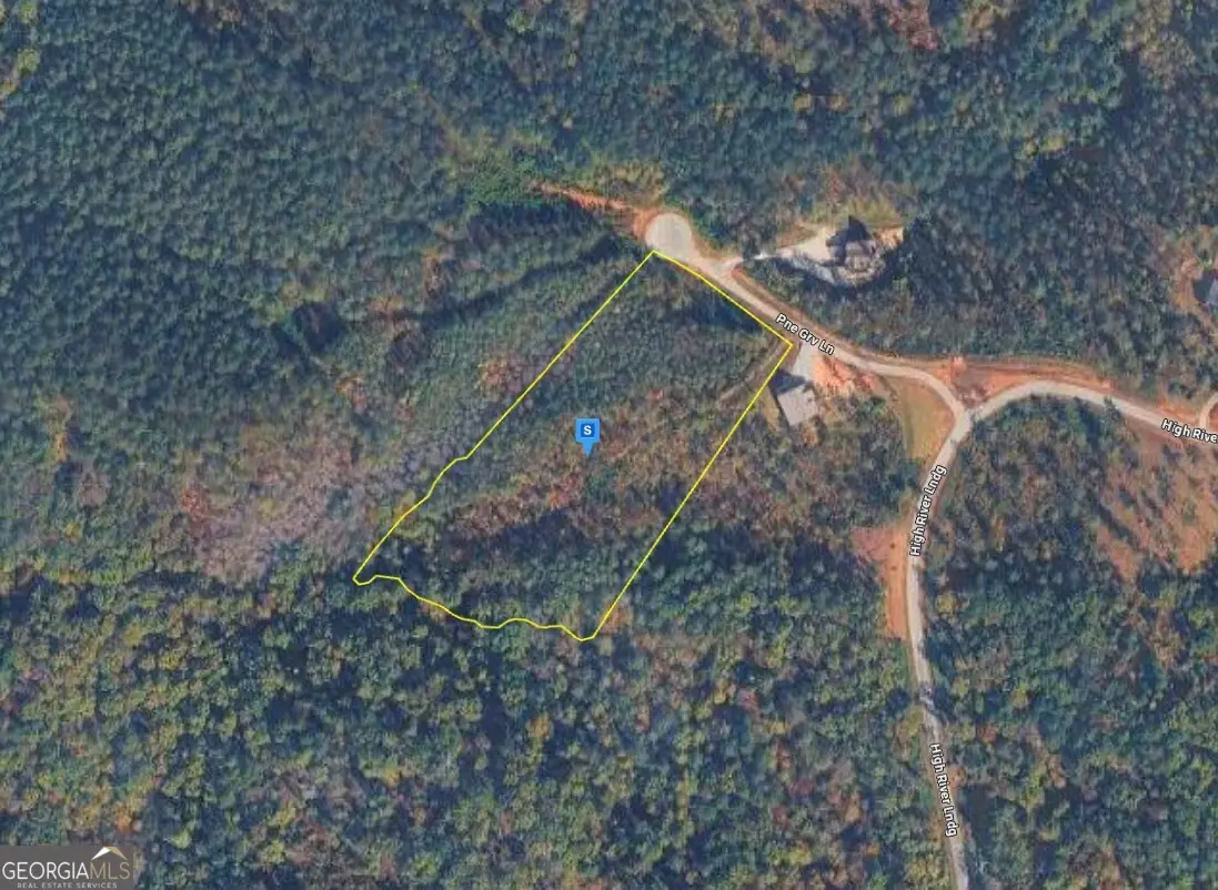 105 Pine Grove Lane, Ellijay, GA 30540 - #1