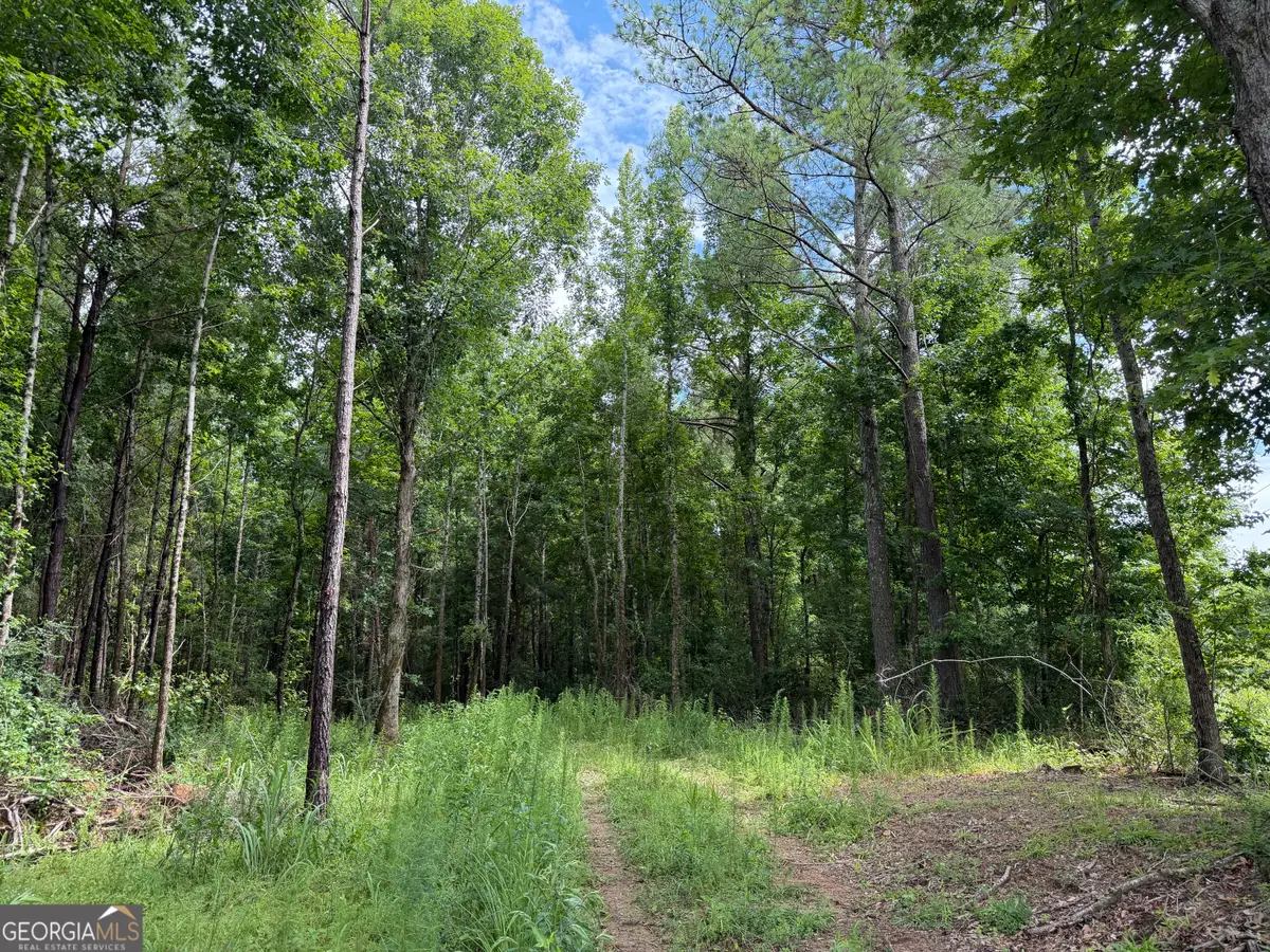 004 County Rd 445, Haleyville, AL 35565 - #1