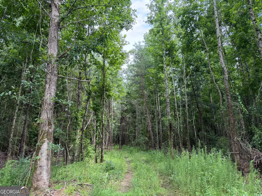 004 County Rd 445, Haleyville, AL 35565 - #2