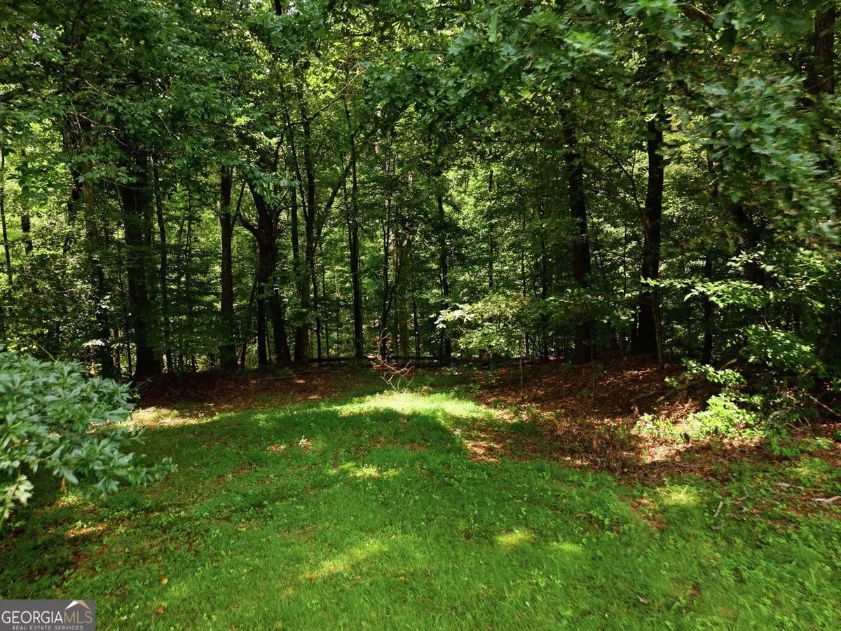 140 Sherwood Lane #LOT B, Canton, GA 30115 - #1