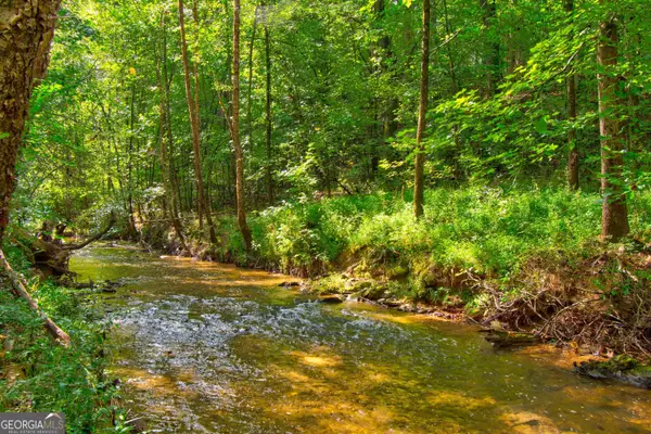 0 S Hills Mill Road, Cornelia, GA 30531