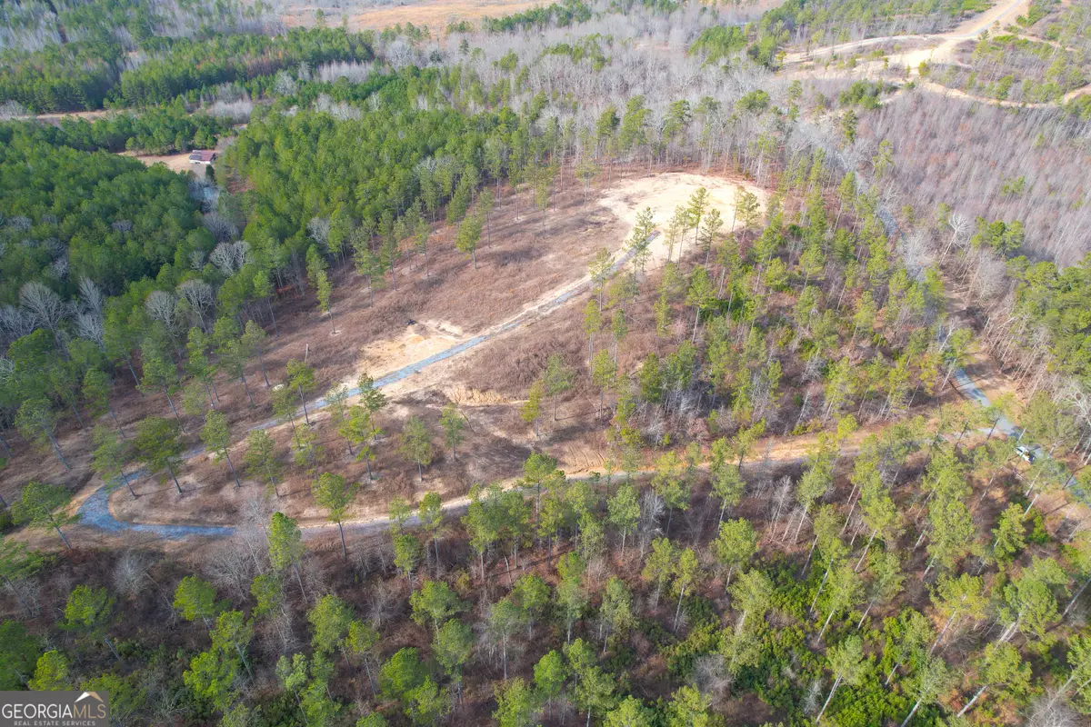 17 +/- Acres On Josh Ward Road, Lyerly, GA 30730 - #1