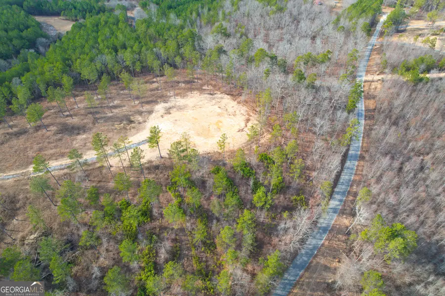 17 +/- Acres On Josh Ward Road, Lyerly, GA 30730 - #3