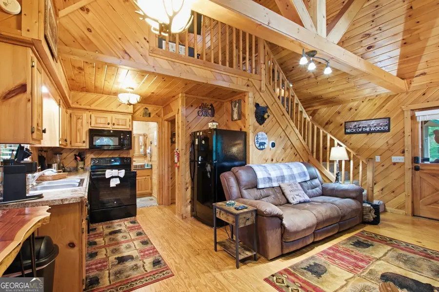 8 Waldheim Strasse Street, Helen, GA 30545 - #3