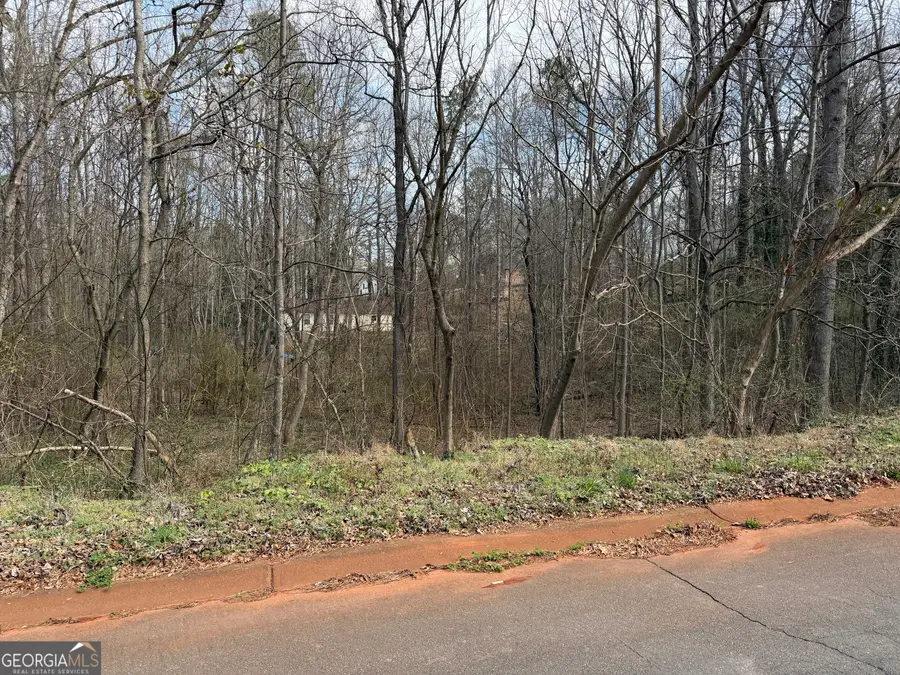 66 Red Top Circle, Emerson, GA 30137 - #3