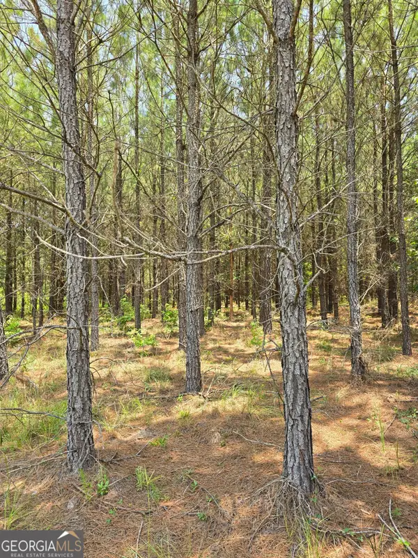 0 Ga Hwy 56 N, Waynesboro, GA 30830