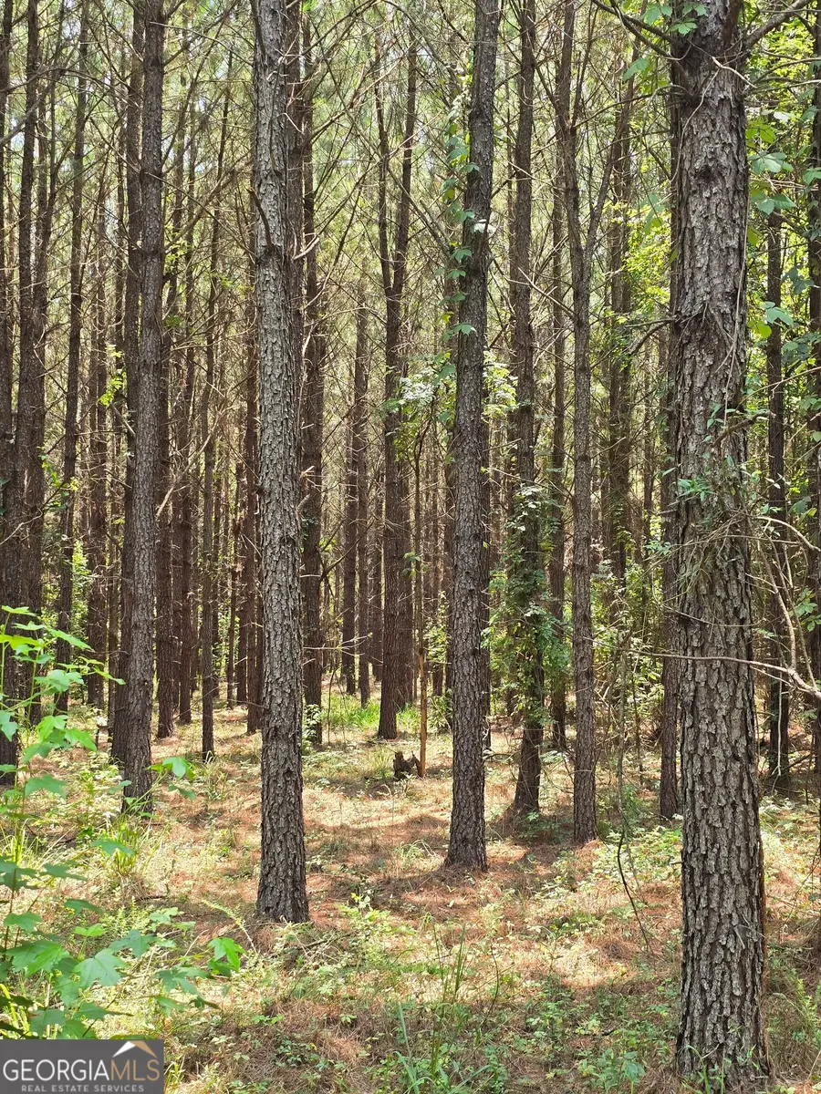 0 Ga Hwy 56 N, Waynesboro, GA 30830 - #2