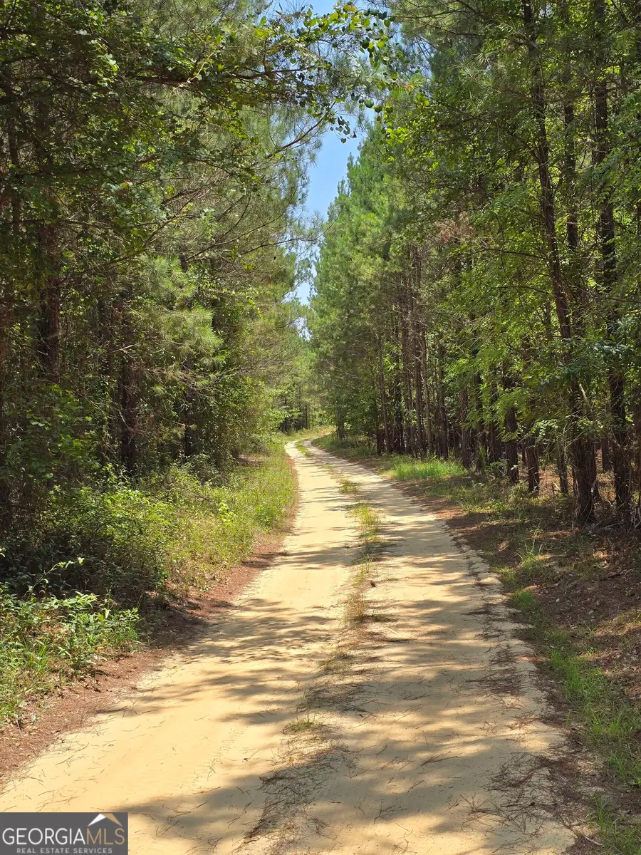 0 Ga Hwy 56 N, Waynesboro, GA 30830 - #3