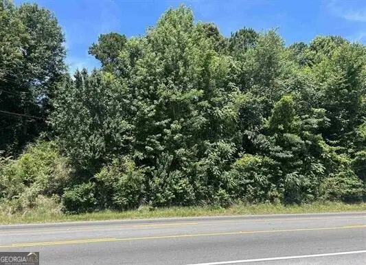 0 Highway 431, Roanoke, AL 36274