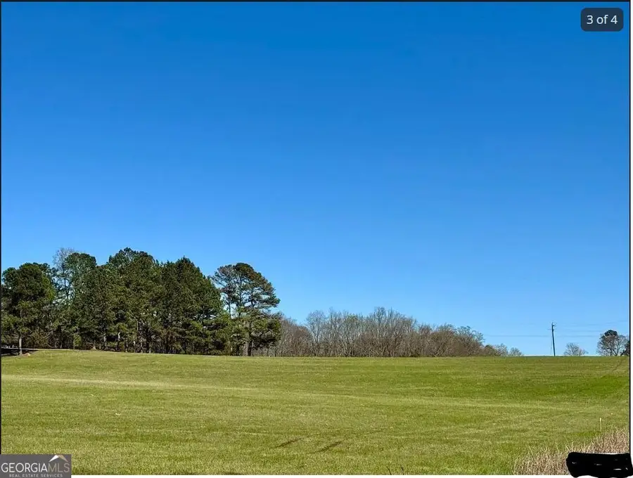 6741 County Road 87, Roanoke, AL 36274 - #2