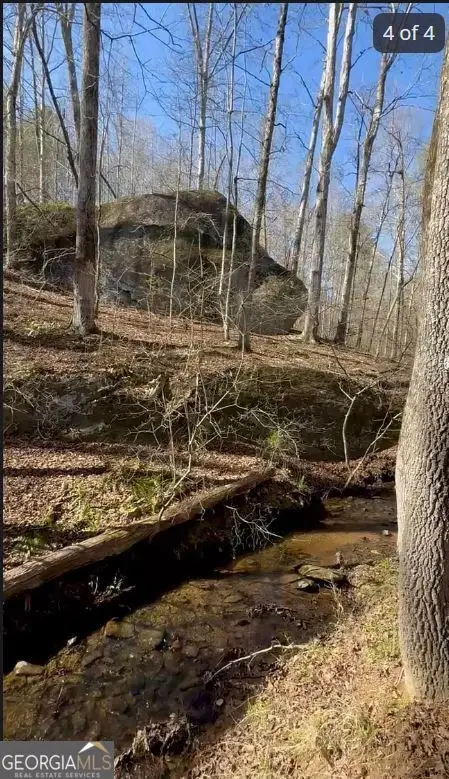 6741 County Road 87, Roanoke, AL 36274 - #3