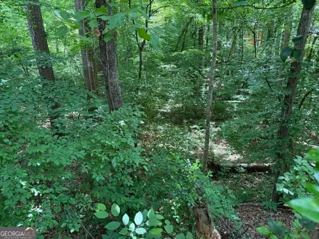 4801 Surrey Drive, Roswell, GA 30075 - #3