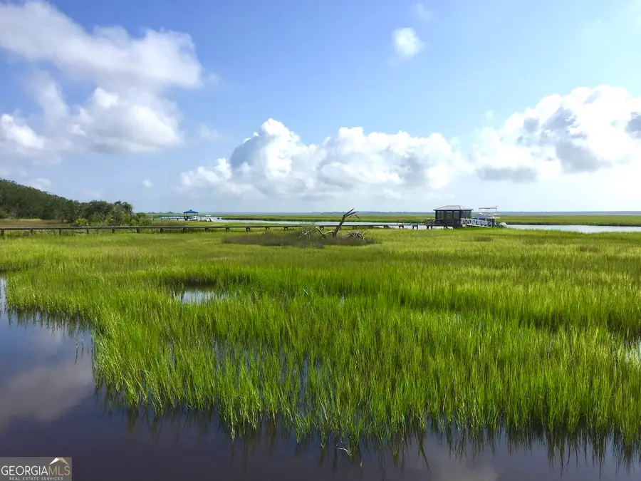 120 Carousers Cove, Saint Marys, GA 31558 - #2