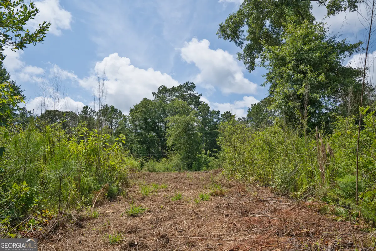 21 Askin Place, Culloden, GA 31016 - #1
