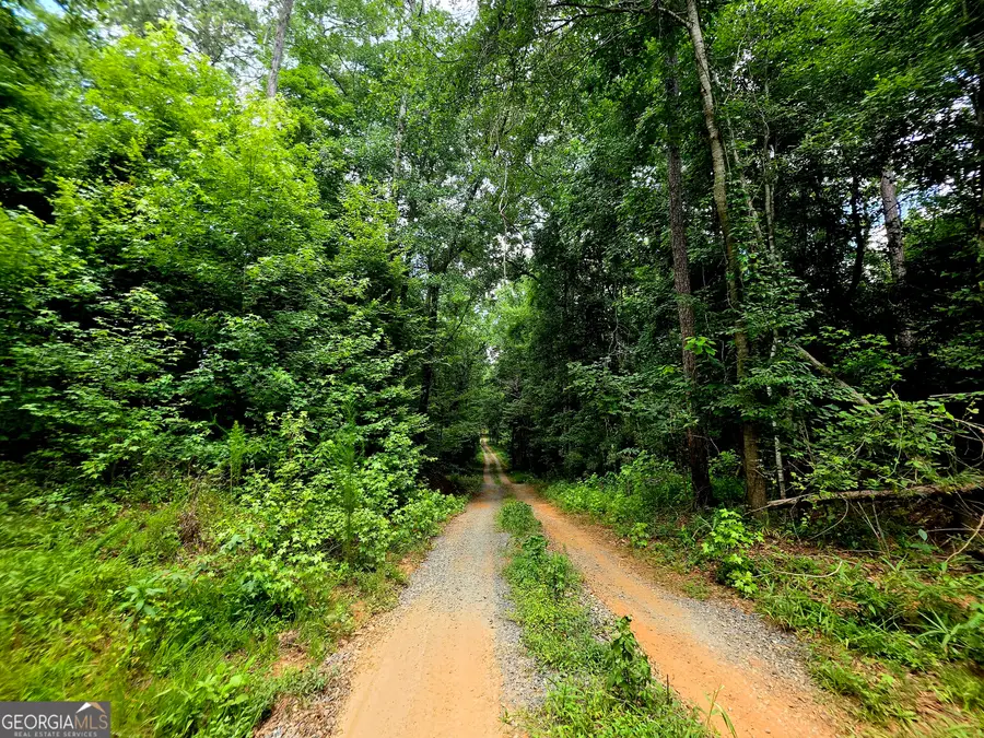 0 Highway 42 S #LOT 1, Forsyth, GA 31029 - #2