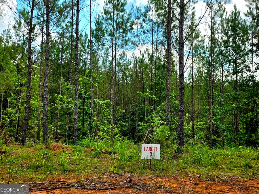 0 Highway 42 S #LOT 8, Forsyth, GA 31029 - #3
