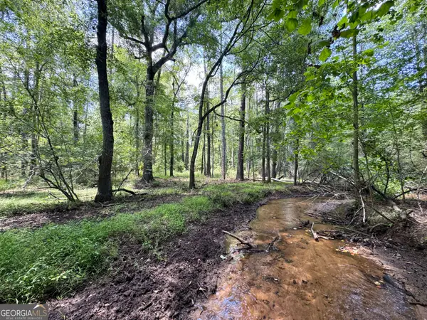 0 Wooten Road, Cuthbert, GA 39840