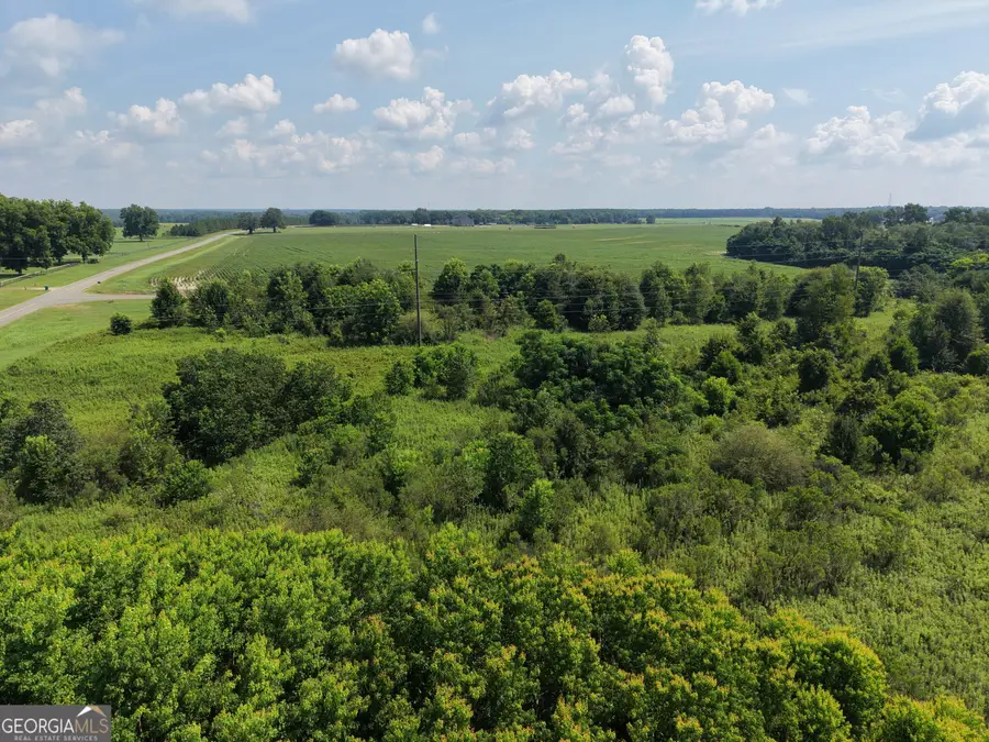 960 Elko Road, Unadilla, GA 31091 - #3