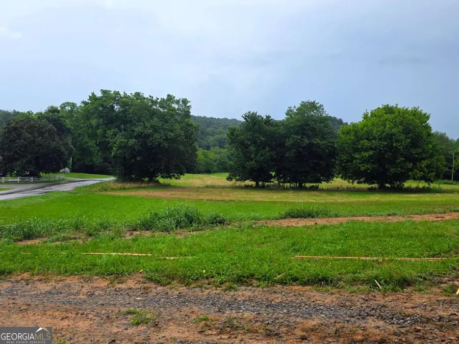 2490 New Hope Road #3, Morganton, GA 30560 - #3