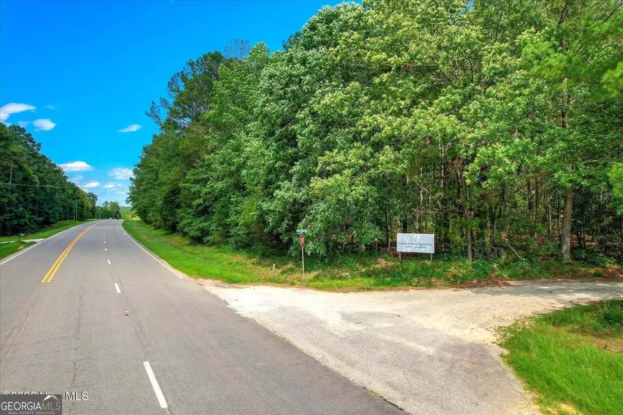 0 Hwy 378 And Ann Scott Drive, Lincolnton, GA 30817 - #2