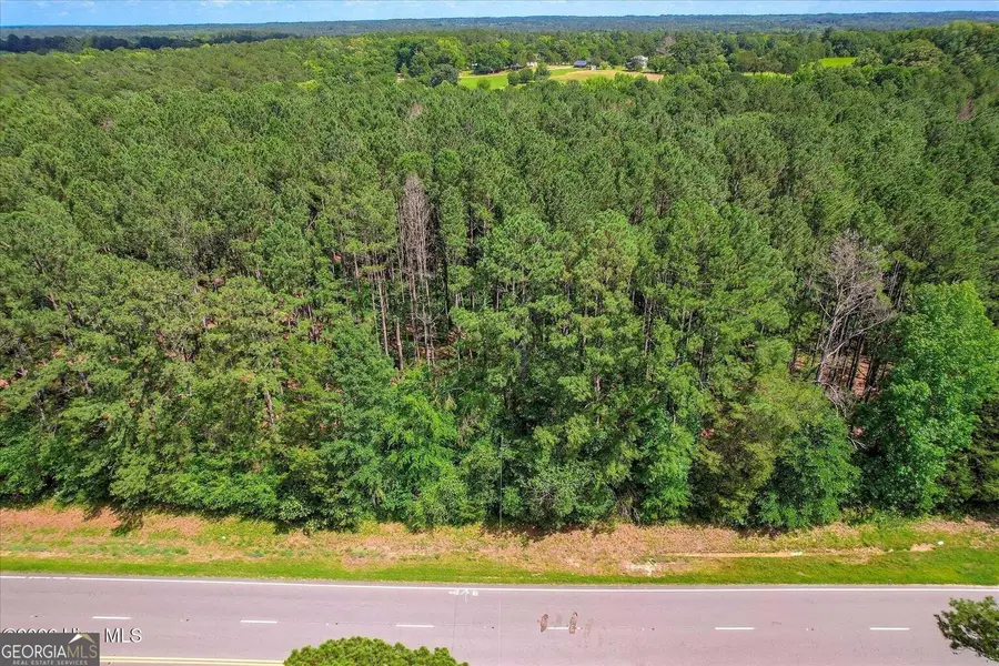 0 Hwy 378 And Ann Scott Drive, Lincolnton, GA 30817 - #3