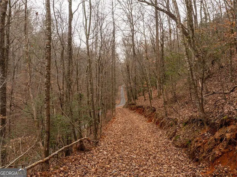377 Soldiers Path, Dahlonega, GA 30533 - #3