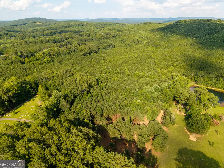 0 Hair Lake Road, Summerville, GA 30747 - #2