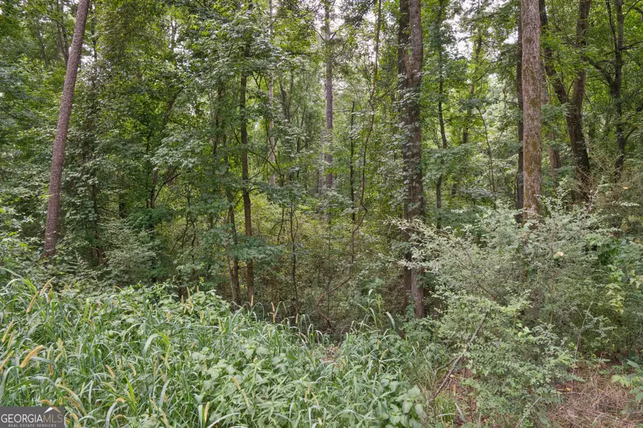 90 Askin Place, Culloden, GA 31016 - #2