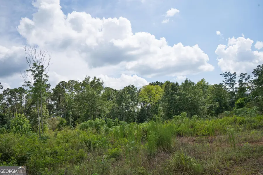 24 Askin Place, Culloden, GA 31016 - #2