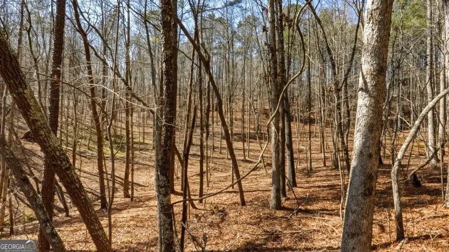 0A Hubbardsville Circle #A, Dawsonville, GA 30534 - #3